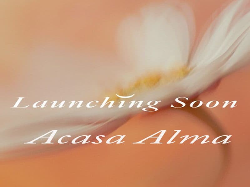 Acasa Alma New Cairo 11