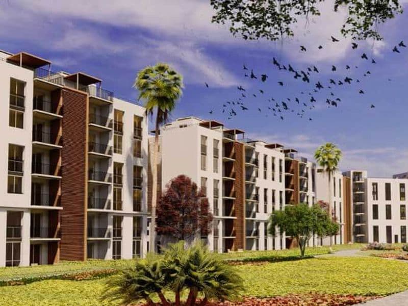 ايكو ويست 6 اكتوبر 3
