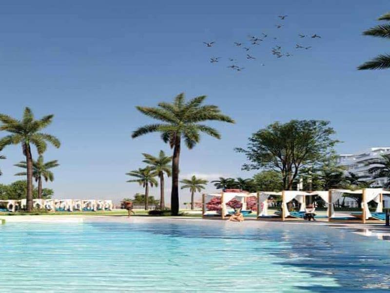 Jamila North Coast 12