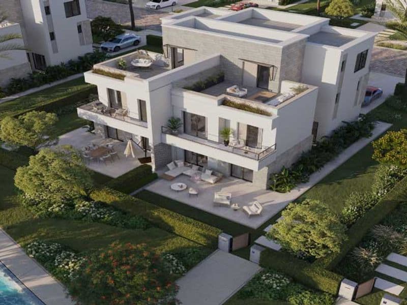 Jeera New Zayed 4
