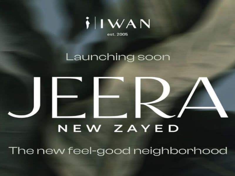 Jeera New Zayed 9
