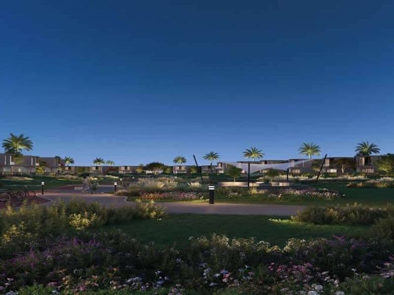 Kinz New Zayed 2