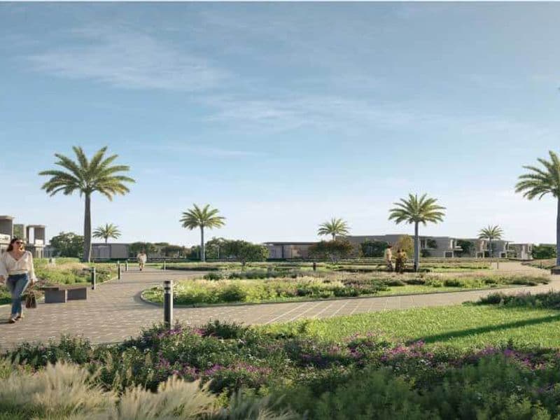 Kinz New Zayed 3