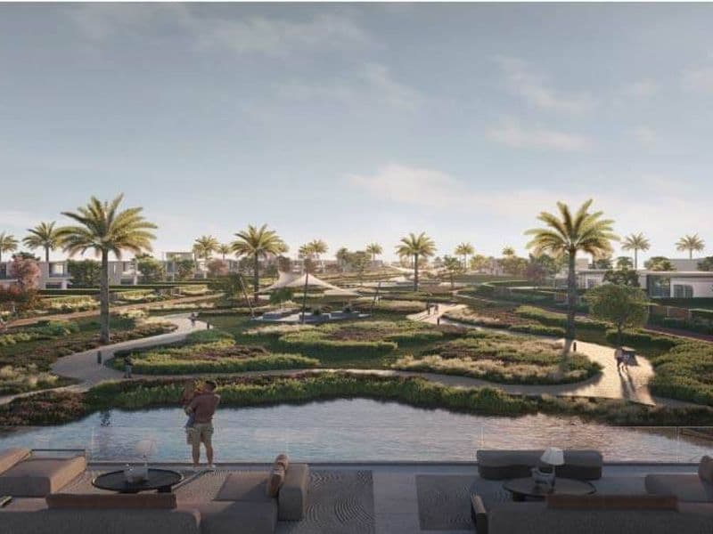 Kinz New Zayed 4