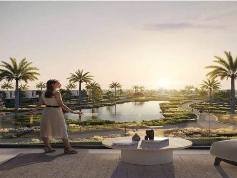 Kinz New Zayed 5