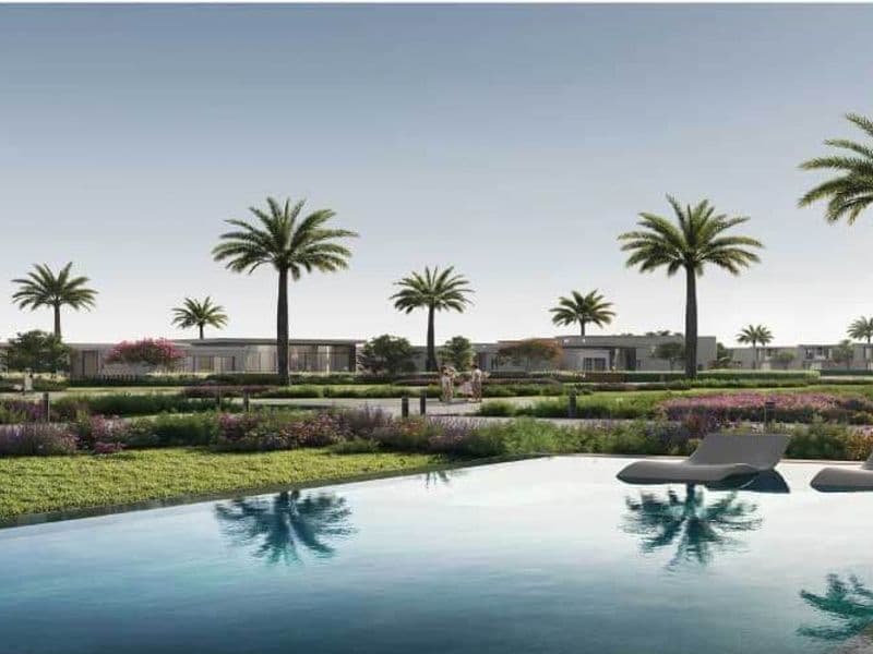 Kinz New Zayed 6