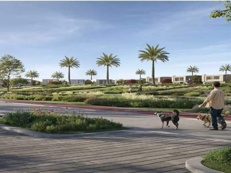 Kinz New Zayed 7
