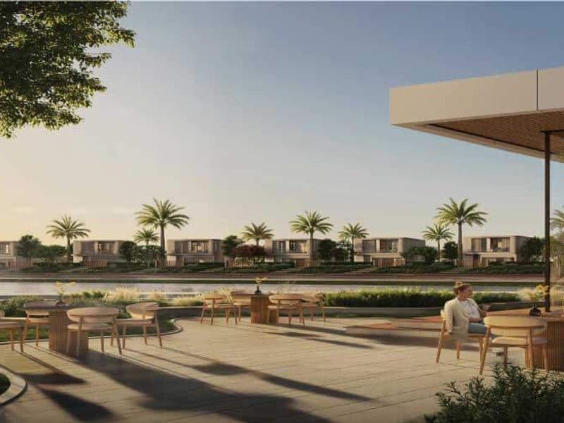 Kinz New Zayed 8