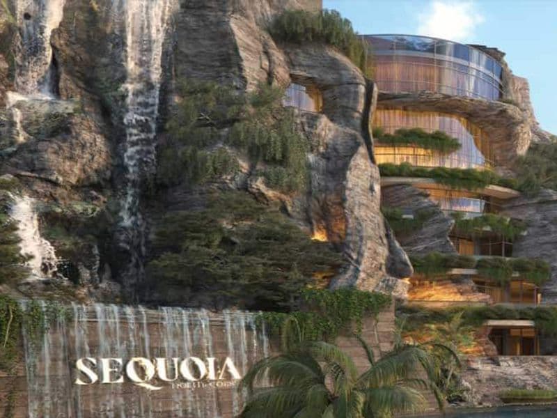 سيكويا الساحل الشمالي Sequoia North Coast 3