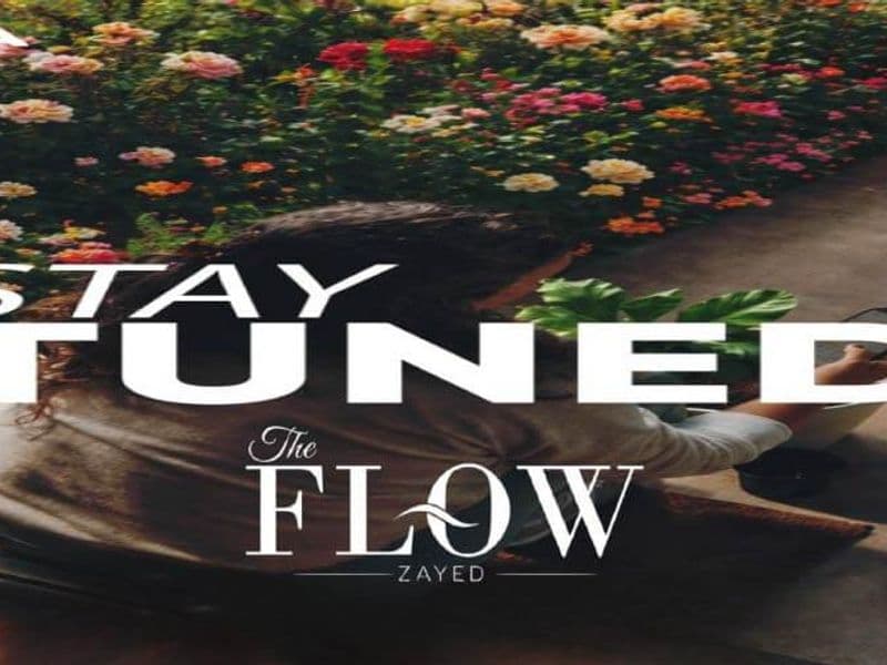 The Flow Sheikh Zayed 2