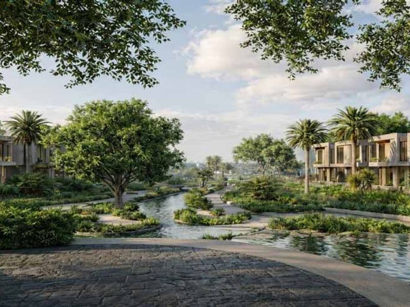 The Hillage Sheikh Zayed 12