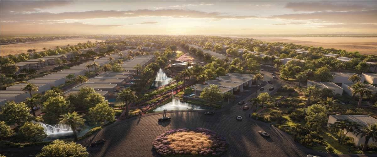 Kinz New Zayed
